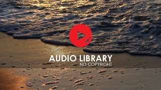 Calm Seashore  No Copyright Sound Effects  Audio Library [upl. by Ellivro493]