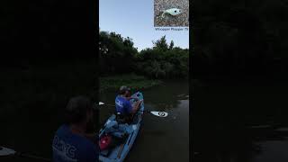 Smallmouth Bass on Crooked Creek  Kayak Fishing  Bonafide RVR 119  Nature [upl. by Saire]