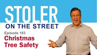 Stoler on the Street  Christmas Tree Safety [upl. by Teevens]