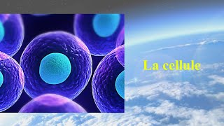 La cellule [upl. by Ttoille]