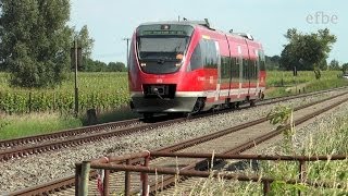 Züge mit BR643 auf der Strecke NeustadtWeinstrasse  Landau 310514 [upl. by Carlie]