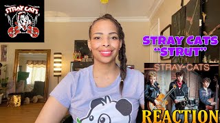 Stray Cats  Stray Cat Strut 1981 official video Reaction [upl. by Atsyrhc786]