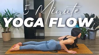 5 Minute Gentle Yoga Flow for Busy Days All Levels [upl. by Bartram]