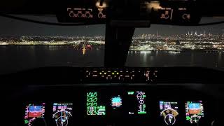 Night Landing in LaGuardia NYC Pilot view landing [upl. by Grados]