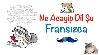 Ne Acayip Dil Şu Fransızca [upl. by Saeger272]