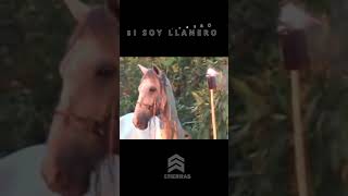 Llanero so Soy llanero con letra [upl. by Donia]