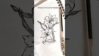 lily flower ❤️ favourite hobby sketch art artwork artist shilpesfavouritehobbies [upl. by Arnon]