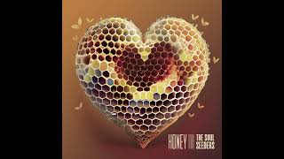 THE SOUL SEEDERS  Honey official audio [upl. by Hilarius]