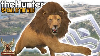 ACCIDENTALLY Hunting A DIAMOND LION While Going After Wildebeest Call of the Wild [upl. by Ecnarret]