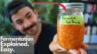 Fermenting Vegetables Explained EASY [upl. by Sera]