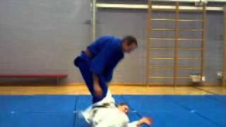 25 Traditional Japanese JiuJitsu Throws [upl. by Niltac857]