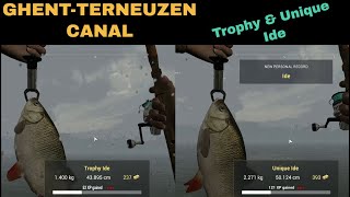 Fishing Planet GhentTerneuzen Canal Netherlands Ide Trophy amp Unique [upl. by Conners]