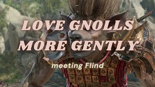 love gnolls more gently [upl. by Daffie]