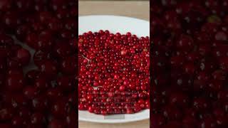 Health Benefits Of Lingonberry [upl. by Livi]