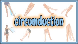 28 Circumduction Term  2D Animation [upl. by Dario]