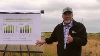 Camelina  An Oilseed Cash Cover Crop [upl. by Ailes]