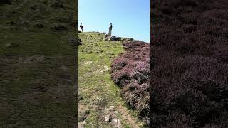 Gower Coast Walk Rhossili Bay – Summit [upl. by Belmonte335]