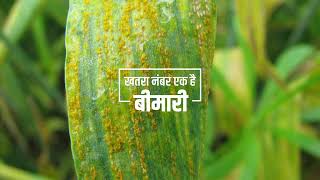 Syngenta Ampect Xtra  AV  Hindi [upl. by Etak75]