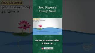 Ways of Seed Dispersal  Seed Dispersal through Water  Plants  Pollination  Science shorts [upl. by Nihs]