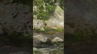 Vratna River Canyon  Serbia  Каньон реки Вратна  Сербия wildlife [upl. by Srevart]