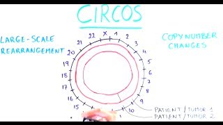 Our genome in a circle [upl. by Aseena]