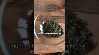 Infusettes VS plantes séchées non broyées plantesmedicinales tisane infusion [upl. by Anirdna]