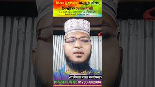 পাগল করা কোরআনের তেলাওয়াতCrazy recitation of the Quran [upl. by Anenahs]