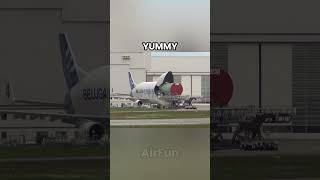 Airbus Beluga is hungry 🤣 shorts [upl. by Britni]