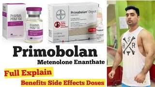 Primobolan Explain In Hindi  Primobolan Metenolone Enanthate [upl. by Nibot]