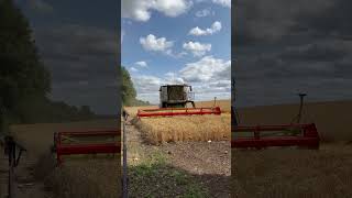 MONSTER CLAAS LEXION 8800 HARVESTING WHEAT YORKSHIRE TRACTOR COMBINE AGRICULTURE FARM [upl. by Shetrit311]