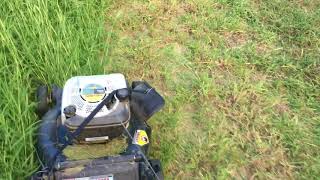 MTD Yardman 625 21 Push Walk Behind Mower Torture Test [upl. by Giarg]