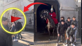 Horse Gets SCARED By This Flag King’s Guard Reacts “Keep The Flag Still” [upl. by Norwood654]