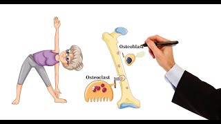 Pharmacology  DRUGS FOR OSTEOPOROSIS MADE EASY [upl. by Rogergcam]