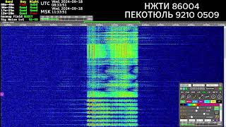 The Buzzer 4625Khz September 18 2024 OVER 27 VOICE MESSAGES [upl. by Enelhtak522]