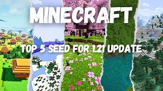 Minecraft Top 5 most Beautiful Seeds minecraft minecraftseed pirateking [upl. by Ahsemak186]