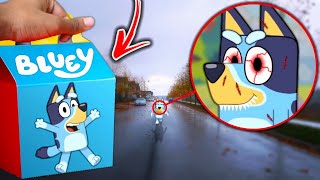 Do Not Order BLUEY HAPPY MEAL From MCDONALDS BLUEY HEELER COMES TO MY HOUSE [upl. by Wong]