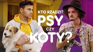 Psy vs Koty feat Whiskas amp Pedigree Official Music Video [upl. by Bekah]