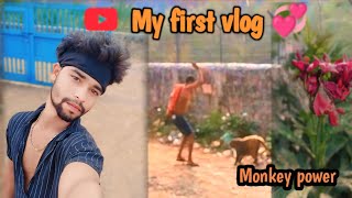 My first blog🙏🙏 Monkey power Village Life 😻 Vlog video alihussainrxct [upl. by Rattan]