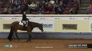 2022 Farnam AQHA and Adequan Select World Select Hunter Under Saddle [upl. by Noeruat]