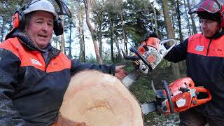 Stihl Ms500i review [upl. by Milas]