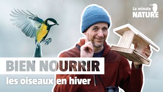 7 règles d’or pour nourrir les oiseaux en hiver No 369 [upl. by Eibbed512]