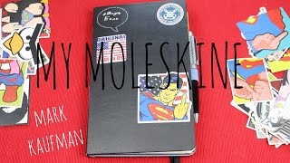 18  MY MOLESKINE КАК Я ВЕДУ ЕЖЕДНЕВНИК  разворот на месяц и день  ГЛАЗА И ГУБЫ [upl. by Yerfej]