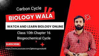 Class 10  Biology  Chapter 16  Lecture 4  Biogeochemical Cycles  Carbon Cycle [upl. by Alden]