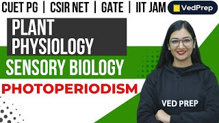 Plant Physiology  Sensory Biology  Photoperiodism CUET PGIIT JAMNET VedPrep Biology Academy [upl. by Hammond208]