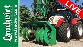 Maisernte 2016  Maishäckseln  Claas Jaguar 960  Maissilage in Siloschlauch für Bullen [upl. by Ingold]