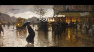 Luigi Loir et Chopin Paris sous la pluie [upl. by Ellon]