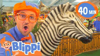 Blippi Learns Jungle Animals  Animals For Kids  Educational Videos For Children [upl. by Eldred]