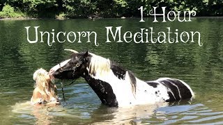 Gypsy Vanner Horse Horses Swimming Unicorn Meditation Equine Therapy Horses [upl. by Olivie]