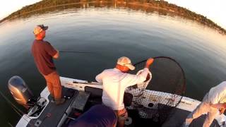 Fishing for MONSTER Muskies in Bemidji Minnesota [upl. by Papagena]