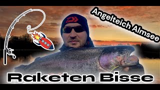 Raketen Forellen quot Die Bisse kommen Knall Hart quot Angelteich Almsee Naturteich [upl. by Anihs]